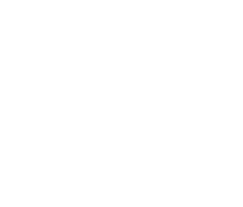 Bird Link Logo